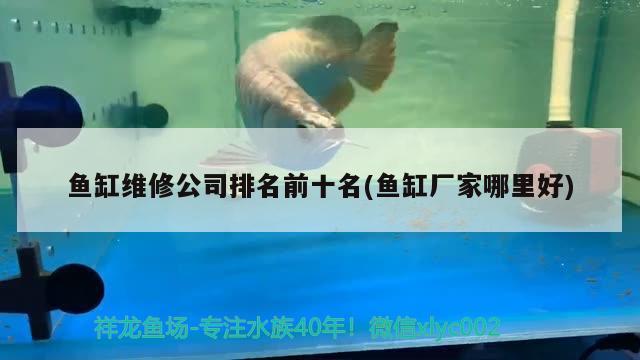 魚缸維修公司排名前十名(魚缸廠家哪里好)