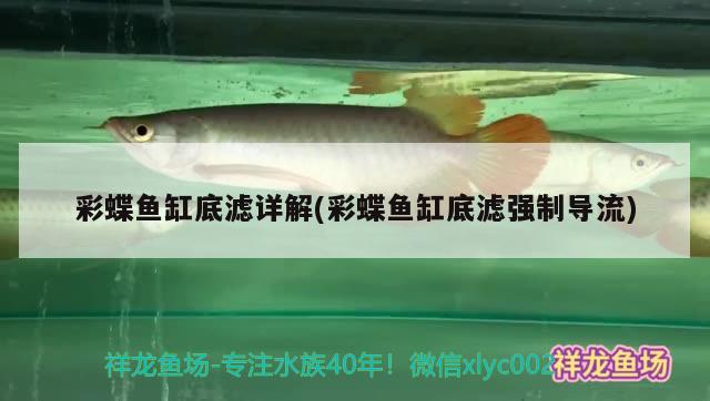 一米八的魚缸用多厚的玻璃膠合適（1米魚缸玻璃的8mm安全么） 白寫錦鯉魚 第2張