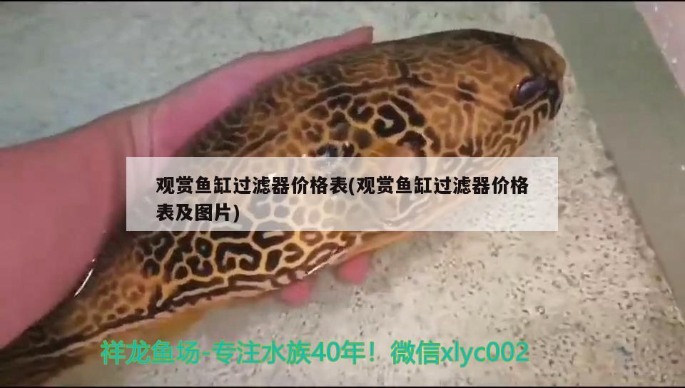 觀賞魚缸過濾器價格表(觀賞魚缸過濾器價格表及圖片)