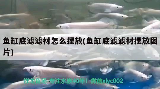 魚缸照明燈具及價(jià)格92厘米(魚缸專用燈管價(jià)格)