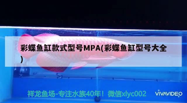 彩蝶魚缸款式型號(hào)MPA(彩蝶魚缸型號(hào)大全) 過背金龍魚