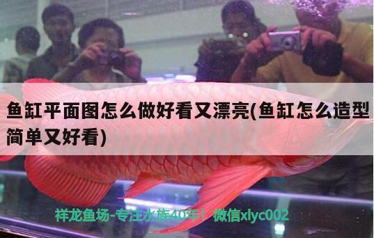 魚(yú)缸平面圖怎么做好看又漂亮(魚(yú)缸怎么造型簡(jiǎn)單又好看) 大湖紅龍魚(yú)