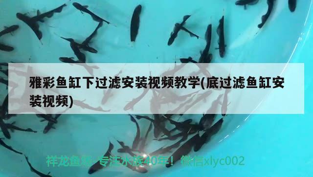 雅彩魚缸下過濾安裝視頻教學(底過濾魚缸安裝視頻)