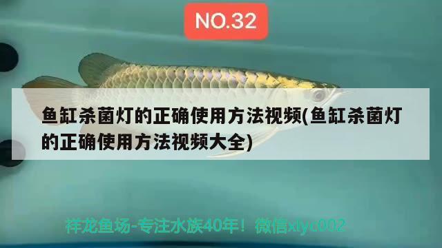 魚缸殺菌燈的正確使用方法視頻(魚缸殺菌燈的正確使用方法視頻大全) 銀河星鉆魚