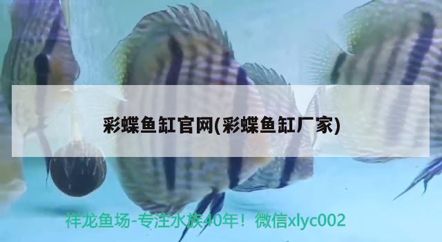 魚缸消毒最好方法圖片（魚缸消毒最好方法圖片大全） 觀賞魚 第1張