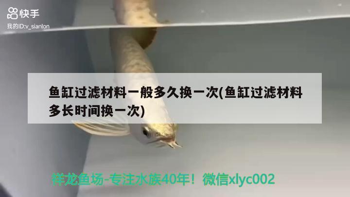 魚缸過濾材料一般多久換一次(魚缸過濾材料多長時間換一次) 除藻劑