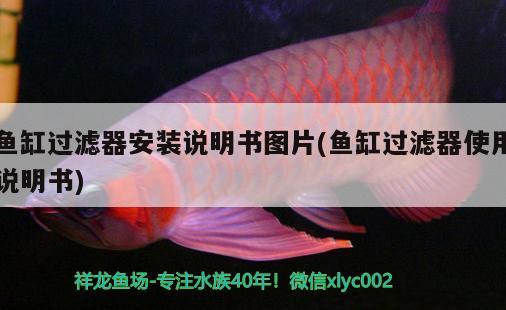 魚缸過濾器安裝說明書圖片(魚缸過濾器使用說明書) 暹羅巨鯉