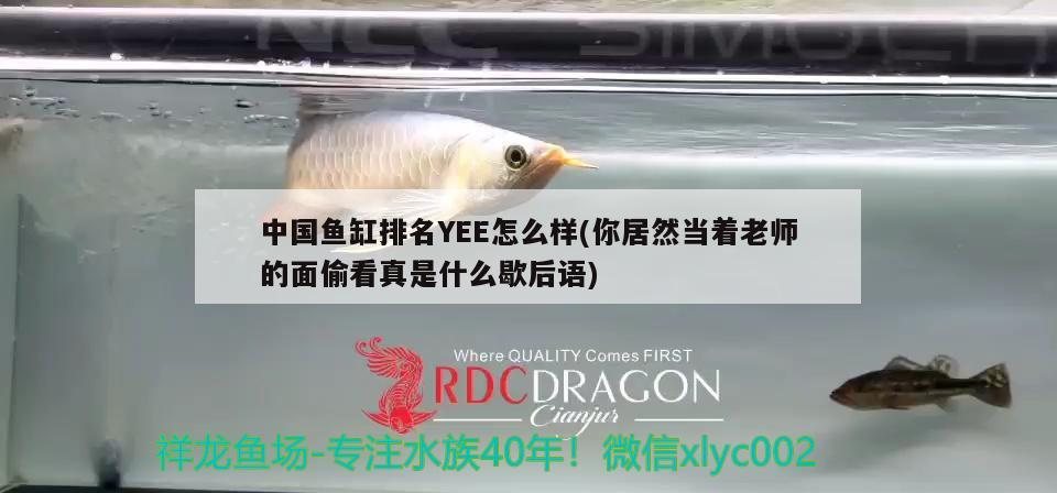 連云港觀賞魚市場退紗虎？可以退嗎