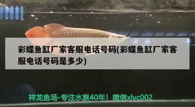 彩蝶魚缸廠家客服電話號碼(彩蝶魚缸廠家客服電話號碼是多少) 祥龍傳奇品牌魚缸