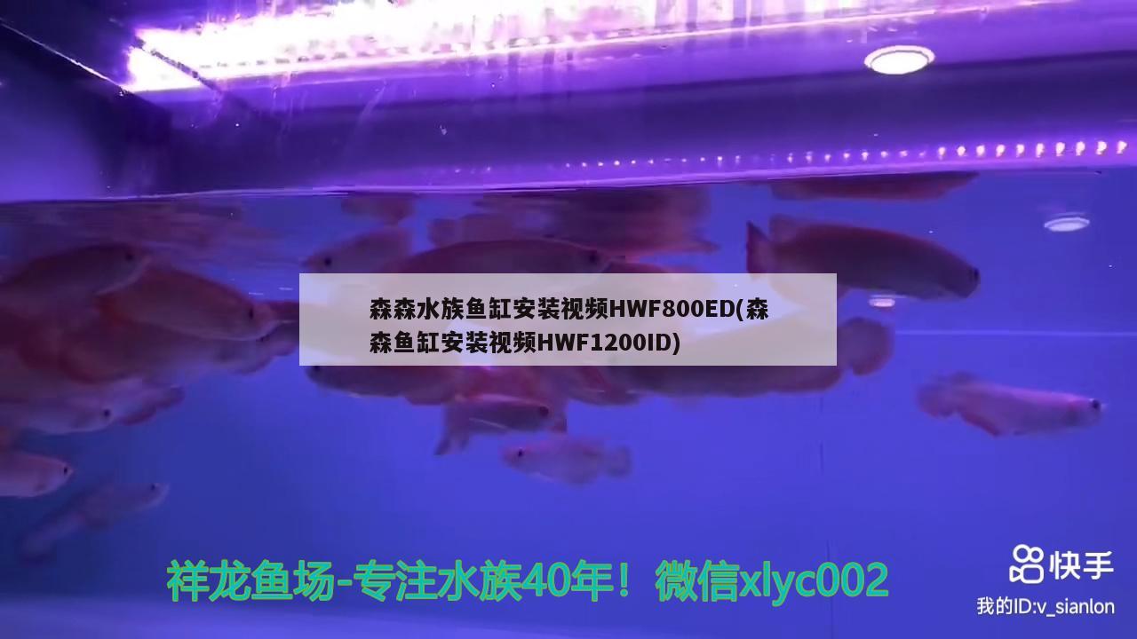 森森水族魚缸安裝視頻HWF800ED(森森魚缸安裝視頻HWF1200ID) 熊貓異形魚L46