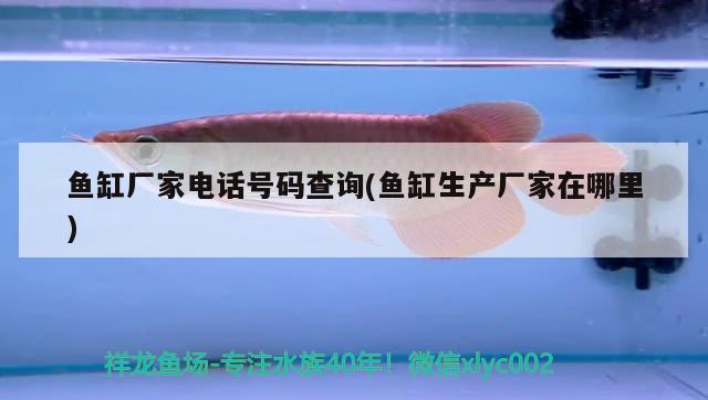 魚缸廠家電話號碼查詢(魚缸生產(chǎn)廠家在哪里) 錦鯉池魚池建設