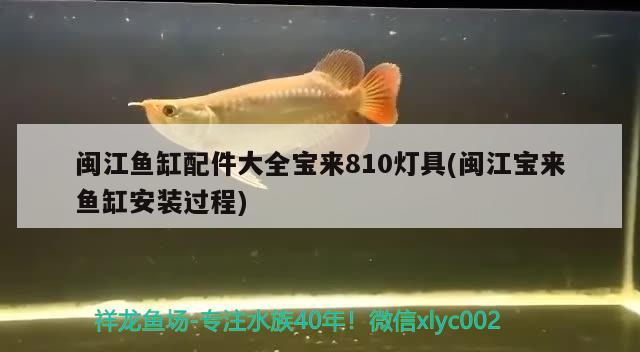 閩江魚缸配件大全寶來810燈具(閩江寶來魚缸安裝過程)