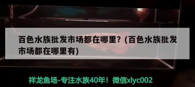 百色水族批發(fā)市場都在哪里？(百色水族批發(fā)市場都在哪里有) 觀賞魚水族批發(fā)市場