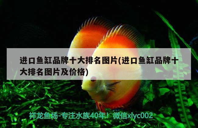 進(jìn)口魚(yú)缸品牌十大排名圖片(進(jìn)口魚(yú)缸品牌十大排名圖片及價(jià)格) 野彩魚(yú)