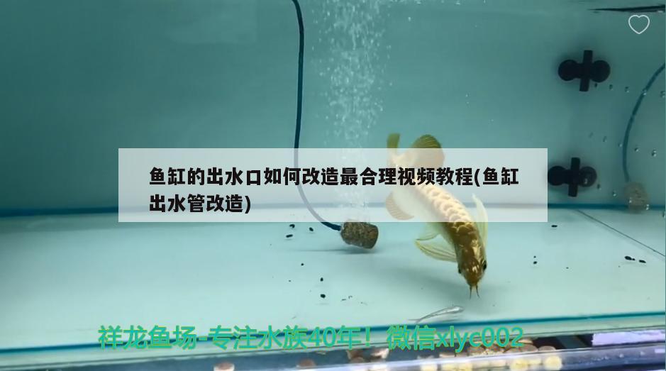 魚(yú)缸的出水口如何改造最合理視頻教程(魚(yú)缸出水管改造) 祥龍龍魚(yú)專(zhuān)用水族燈