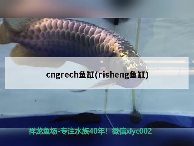 cngrech魚(yú)缸(risheng魚(yú)缸) 雙線側(cè)魚(yú)