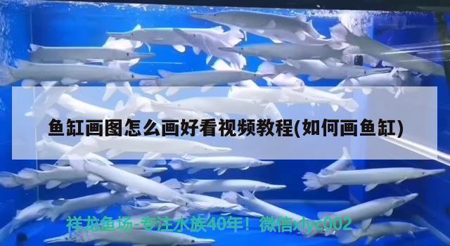 魚缸畫圖怎么畫好看視頻教程(如何畫魚缸)