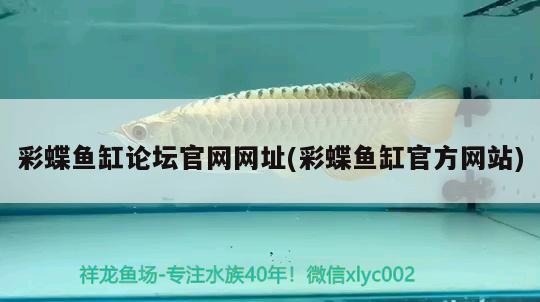 魚缸改干濕分離方法，天王魚缸干濕分離怎么安裝魚缸干濕分離 帝王迷宮魚 第1張