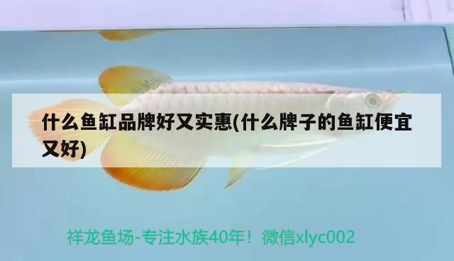 什么魚缸品牌好又實惠(什么牌子的魚缸便宜又好) 充氧泵