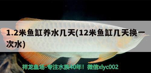 北票市雙河水中一族觀賞魚店 全國水族館企業(yè)名錄 第1張