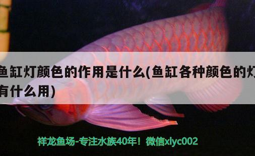 魚缸燈顏色的作用是什么(魚缸各種顏色的燈有什么用)