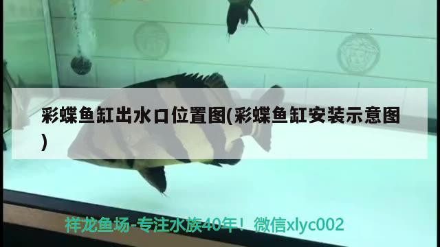 彩蝶魚缸出水口位置圖(彩蝶魚缸安裝示意圖) 非洲金鼓魚