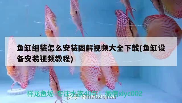 魚缸組裝怎么安裝圖解視頻大全下載(魚缸設(shè)備安裝視頻教程)