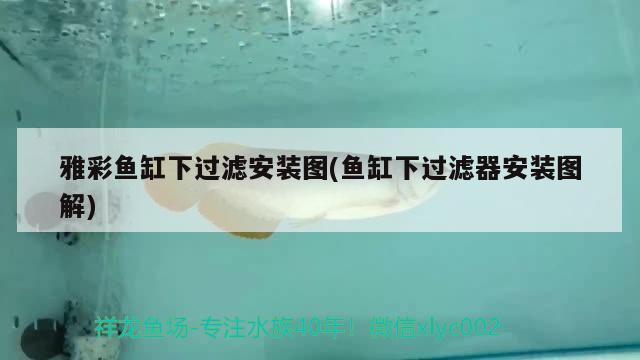 雅彩魚缸下過(guò)濾安裝圖(魚缸下過(guò)濾器安裝圖解)