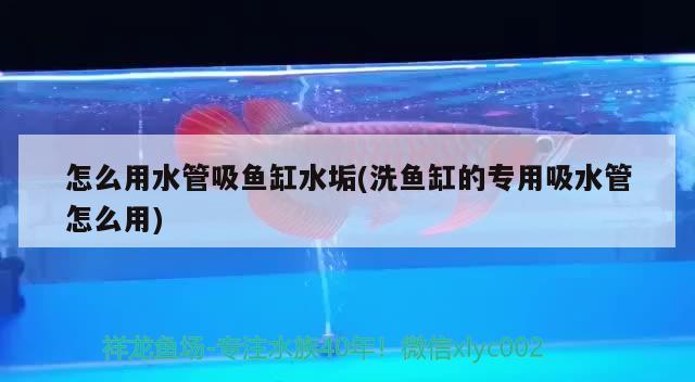 森森水族魚缸官網(wǎng)：森森水族箱質(zhì)量怎么樣