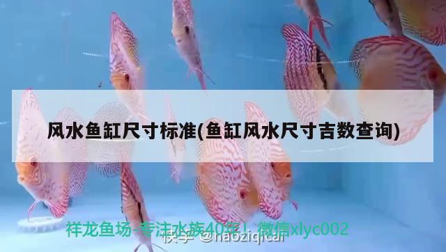 風(fēng)水魚缸尺寸標(biāo)準(zhǔn)(魚缸風(fēng)水尺寸吉數(shù)查詢)