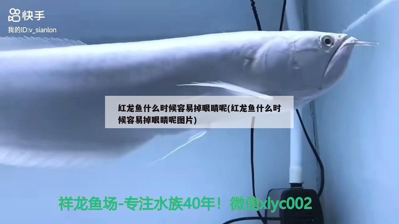 蘭州魚缸訂做電話地址及電話號（蘭州魚缸訂做電話地址及電話號碼）