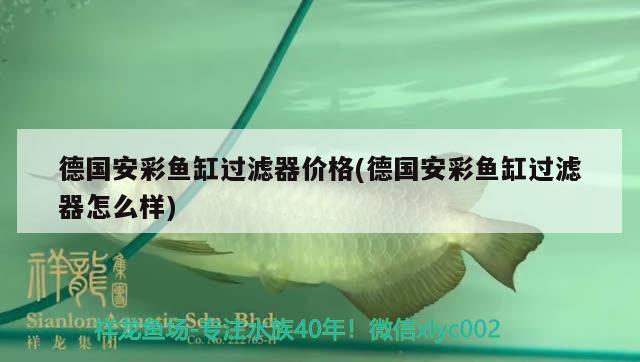 德國(guó)安彩魚缸過濾器價(jià)格(德國(guó)安彩魚缸過濾器怎么樣)