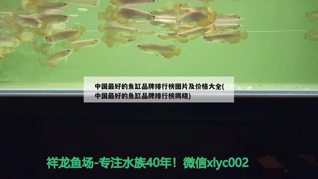 觀賞魚的鹽怎么用 觀賞魚的鹽怎么用的 貓貓 第1張