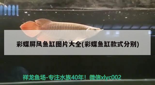 彩蝶屏風(fēng)魚缸圖片大全(彩蝶魚缸款式分別)