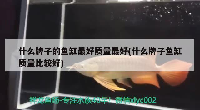 什么牌子的魚缸最好質(zhì)量最好(什么牌子魚缸質(zhì)量比較好) 噴點(diǎn)菠蘿魚