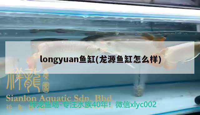 魯南水族批發(fā)市場怎么樣（魯南水族批發(fā)市場怎么樣呀） 養(yǎng)魚知識 第1張