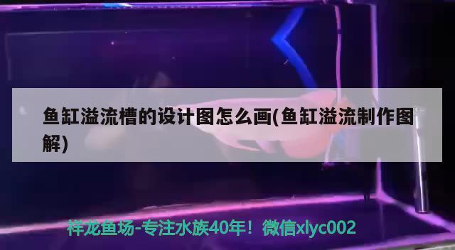 魚缸溢流槽的設計圖怎么畫(魚缸溢流制作圖解) 祥龍水族濾材/器材