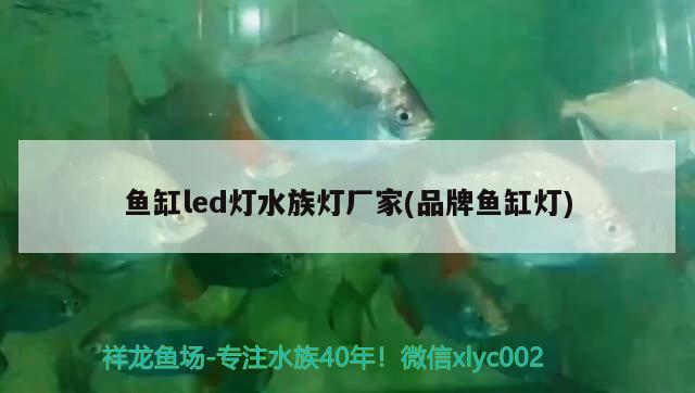 魚缸led燈水族燈廠家(品牌魚缸燈) 廣州水族器材濾材批發(fā)市場(chǎng)