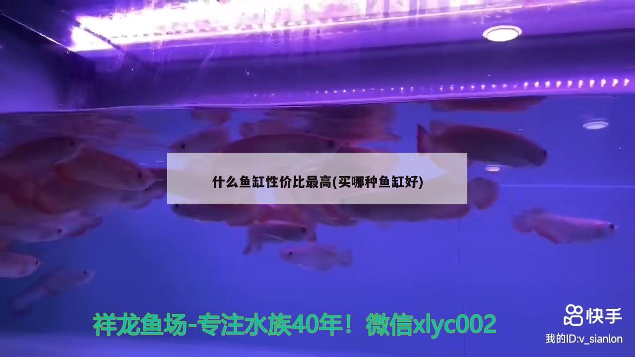 什么魚缸性價比最高(買哪種魚缸好)