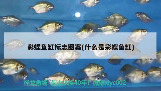 彩蝶魚缸標(biāo)志圖案(什么是彩蝶魚缸)