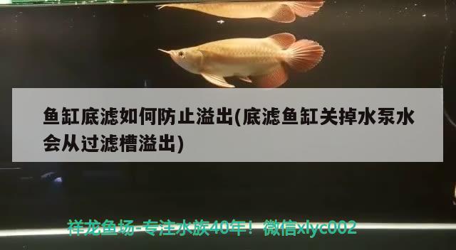 魚缸底濾如何防止溢出(底濾魚缸關(guān)掉水泵水會從過濾槽溢出) 七彩神仙魚