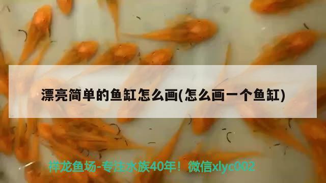 漂亮簡單的魚缸怎么畫(怎么畫一個魚缸)