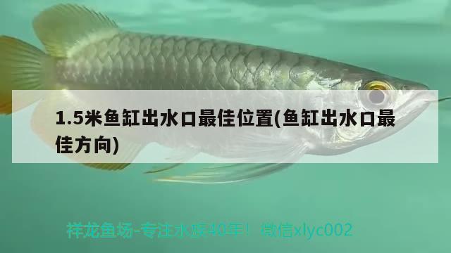 張店哪里賣魚缸好賣：張店哪里賣魚缸好賣些