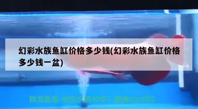 朔州魚缸維護(朔州魚缸維護電話號碼) 福滿鉆魚 第3張