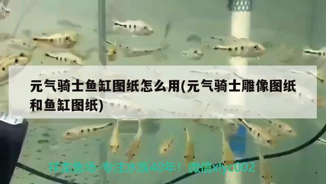 元氣騎士魚缸圖紙怎么用(元氣騎士雕像圖紙和魚缸圖紙) 過濾設備