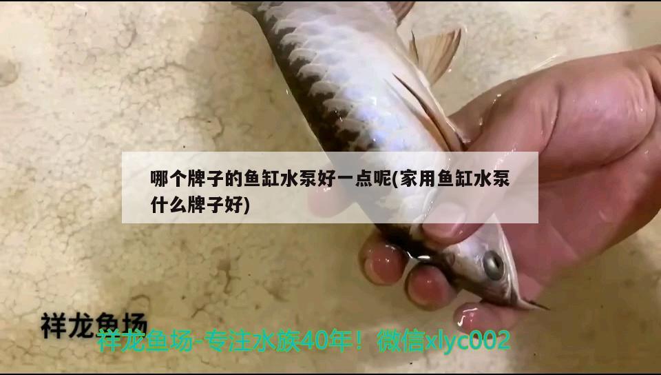 哪個牌子的魚缸水泵好一點呢(家用魚缸水泵什么牌子好) 魚缸水泵