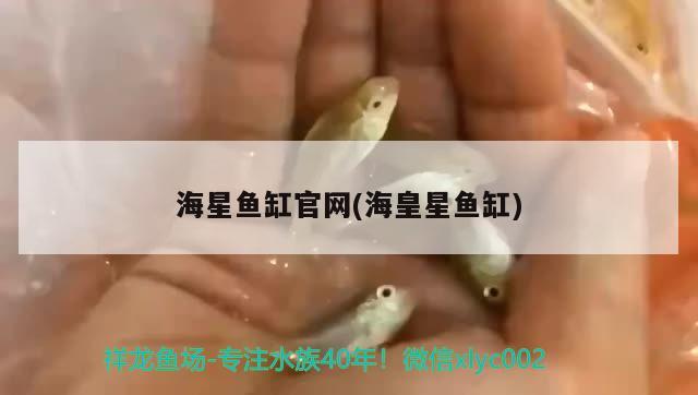 海星魚缸官網(wǎng)(海皇星魚缸) 七彩神仙魚