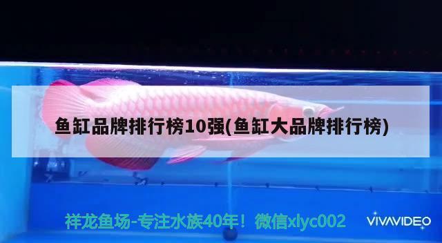 魚缸品牌排行榜10強(魚缸大品牌排行榜) 魚糧魚藥