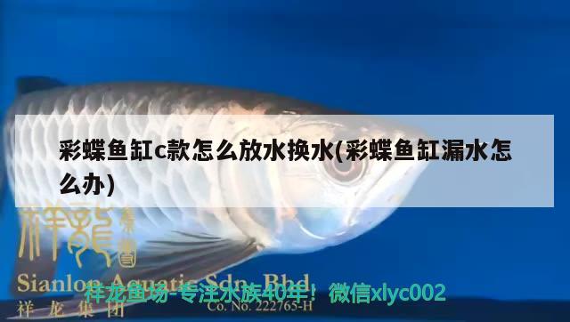 彩蝶魚缸c款怎么放水換水(彩蝶魚缸漏水怎么辦)