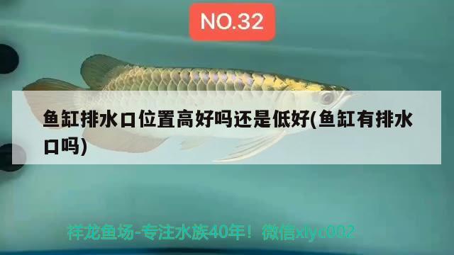 魚缸排水口位置高好嗎還是低好(魚缸有排水口嗎) 白子黃化銀龍魚